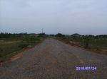 PICT0381.JPG